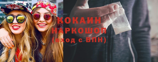 амф Новозыбков