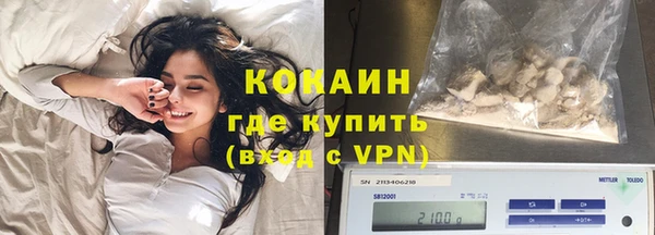 амф Новозыбков