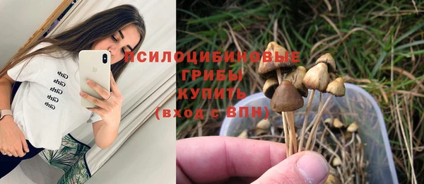 амф Новозыбков
