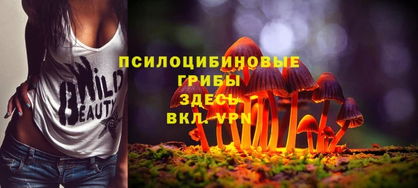 mdpv Нея