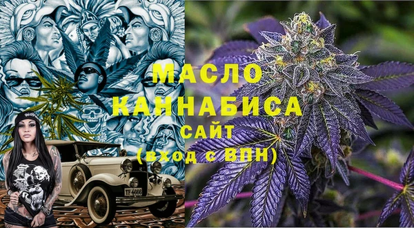 амф Новозыбков