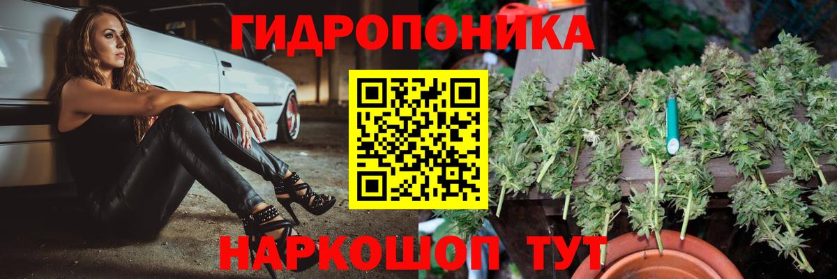 Марихуана семена  Канабис MAZAR  Вход с VPN  Канабис White Widow  Югорск 